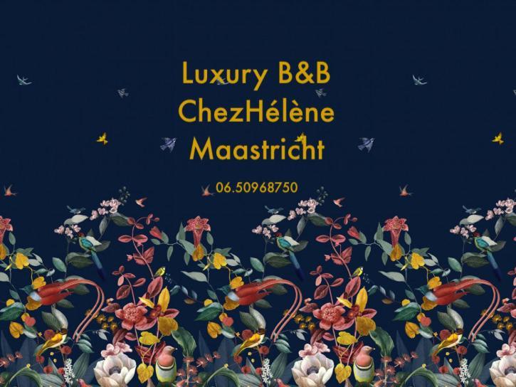 Chez Helene Luxury Appartment 마스트리흐트 외부 사진